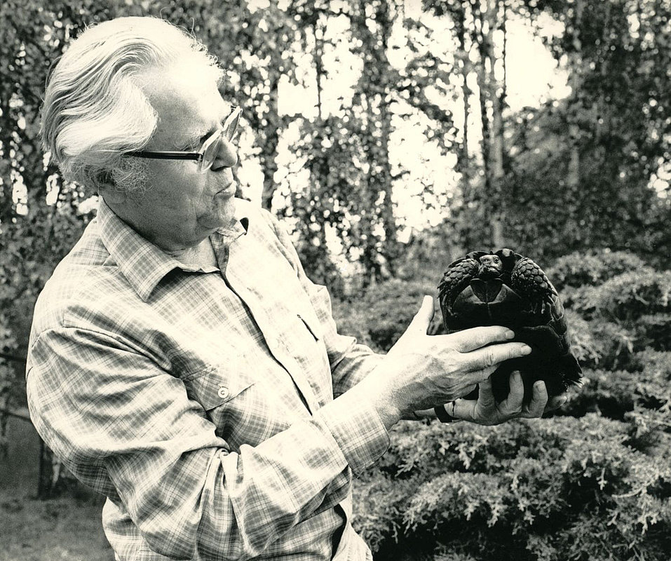 Walter Kirsche mit Griechischer Landschildkröte 1983 in Pätz.